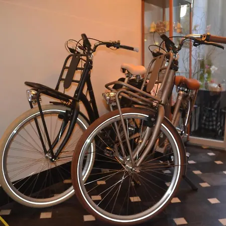 Ter Thuyne Bed & Breakfast Ypres