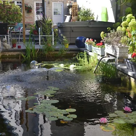 Bed & Breakfast Ter Thuyne